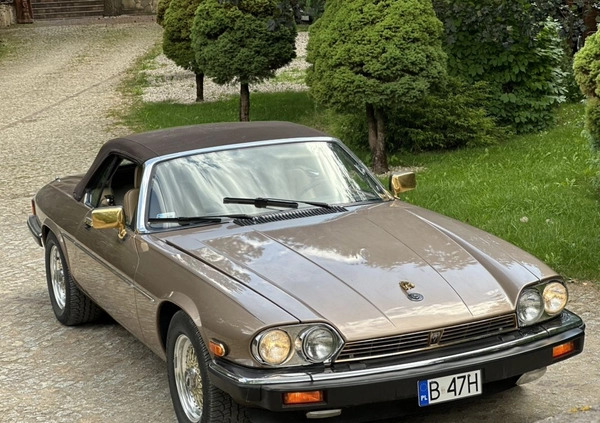 Jaguar XJS cena 65000 przebieg: 36331, rok produkcji 1990 z Augustów małe 211